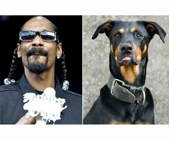 Exprimer une impression en anglais - look, sound, smell, feel, taste